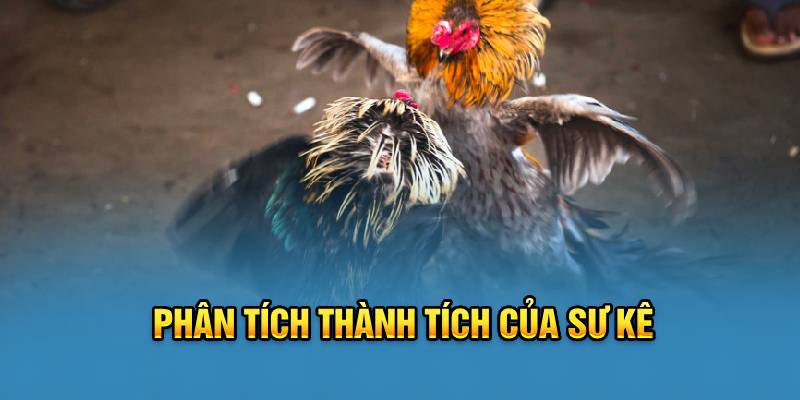 Phân tích thành tích của sư kê