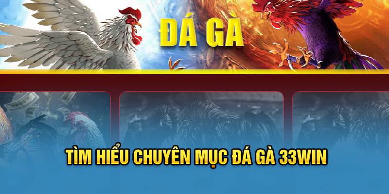 Tìm hiểu chuyên mục đá gà 33win