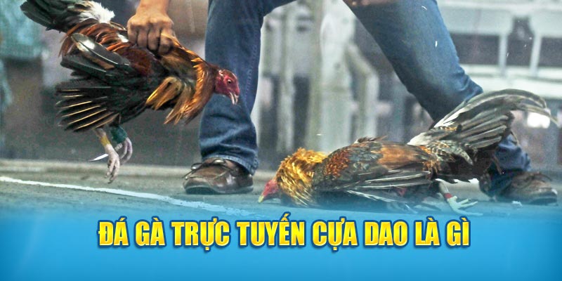 Đá gà trực tuyến cựa dao là gì