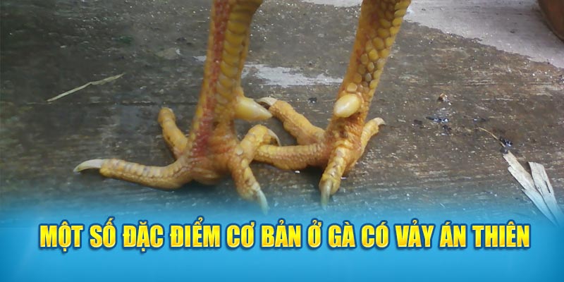 Một số đặc điểm cơ bản ở vảy Án Thiên