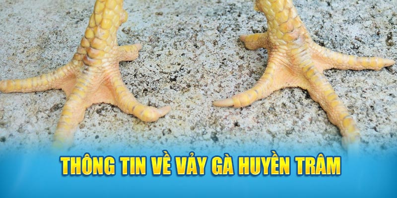 Thông tin về vảy gà Huyền Trâm