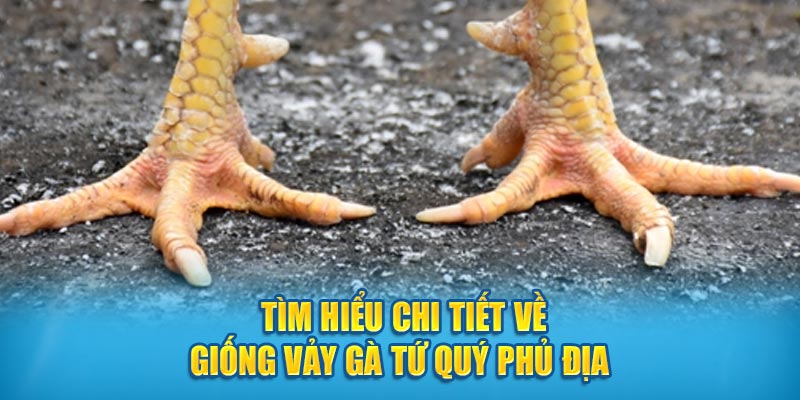 Tìm hiểu chi tiết về giống vảy gà Tứ Quý Phủ Địa