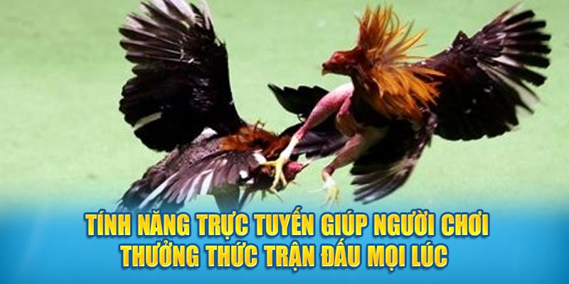 Tính năng trực tuyến giúp người chơi thưởng thức trận đấu mọi lúc