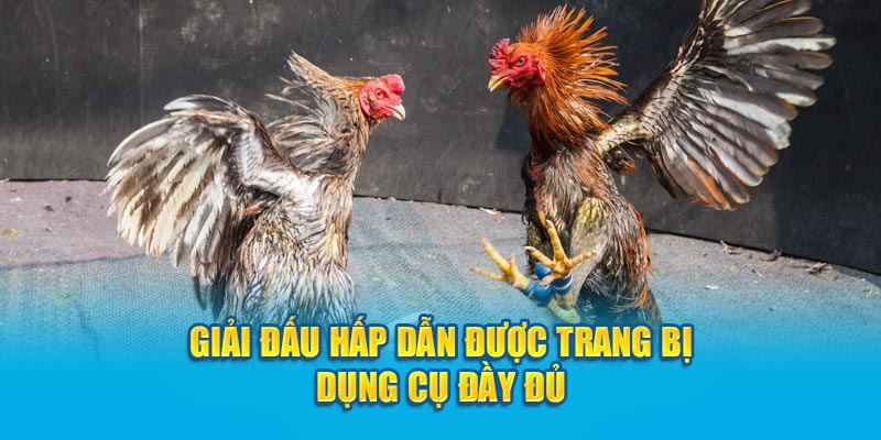 Giải đấu hấp dẫn được trang bị dụng cụ đầy đủ 