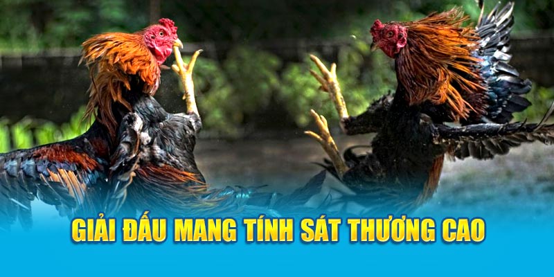 Giải đấu mang tính sát thương cao 