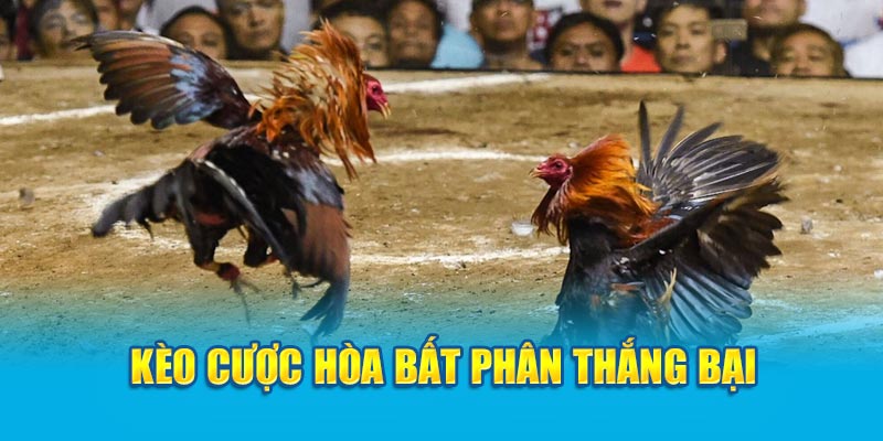 Kèo cược hòa bất phân thắng bại 