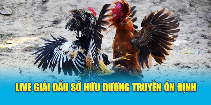 Live giải đấu sở hữu đường truyền ổn định 