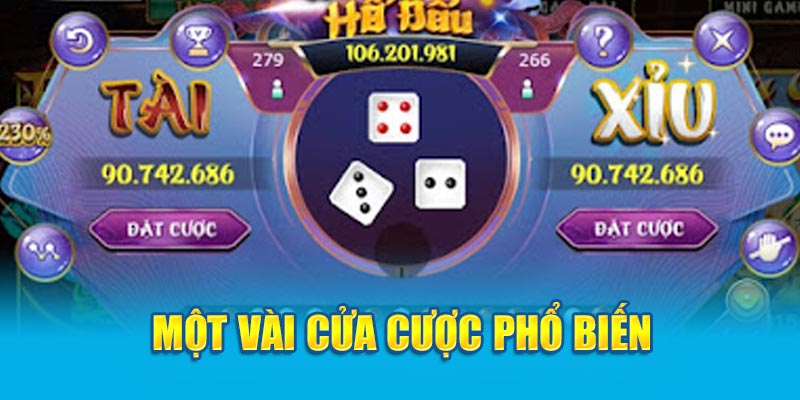 Một vài cửa cược phổ biến