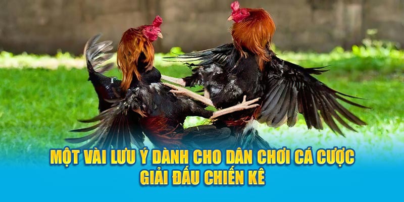 Một vài lưu ý dành cho dân chơi cá cược giải đấu chiến kê 