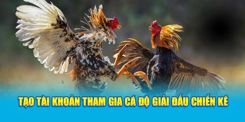 Tạo tài khoản tham gia cá độ giải đấu chiến kê  