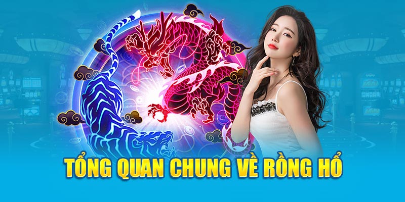 Tổng quan chung về rồng hổ 